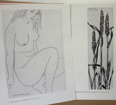 André Jacquemin Partie Choisie de l'oeuvre. Collectif, Préface de Carl de Nys