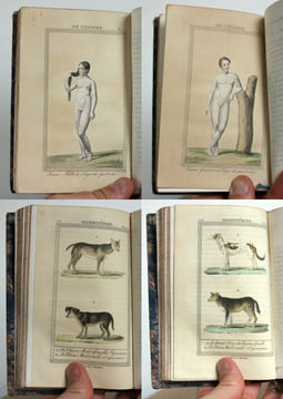 Oeuvres complètes de Buffon, Augmentées d'articles supplémentaires sur divers animaux qui n'étaient point connus de Buffon, 53 tomes. M. Le Baron ...