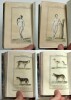 Oeuvres complètes de Buffon, Augmentées d'articles supplémentaires sur divers animaux qui n'étaient point connus de Buffon, 53  tomes. M. Le Baron ...