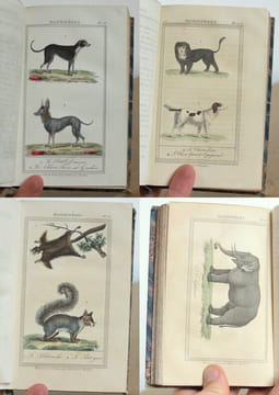 Oeuvres complètes de Buffon, Augmentées d'articles supplémentaires sur divers animaux qui n'étaient point connus de Buffon, 53 tomes. M. Le Baron ...
