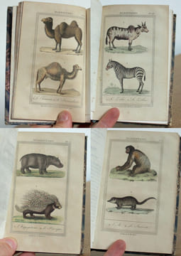 Oeuvres complètes de Buffon, Augmentées d'articles supplémentaires sur divers animaux qui n'étaient point connus de Buffon, 53 tomes. M. Le Baron ...