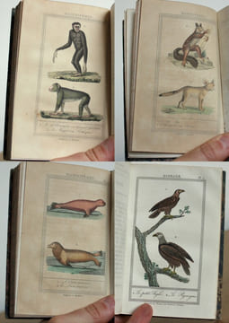 Oeuvres complètes de Buffon, Augmentées d'articles supplémentaires sur divers animaux qui n'étaient point connus de Buffon, 53 tomes. M. Le Baron ...