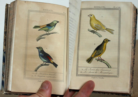 Oeuvres complètes de Buffon, Augmentées d'articles supplémentaires sur divers animaux qui n'étaient point connus de Buffon, 53 tomes. M. Le Baron ...