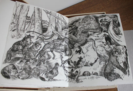 Le roman de Renart. Philippe Van Tieghem
