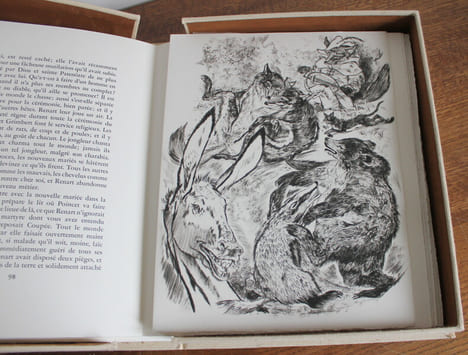 Le roman de Renart. Philippe Van Tieghem