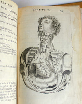 L'anatomie du corps humain avec ses maladies,& les remèdes pour les guérir nouvelle édition augmentée de plusieurs observations de phisique curieuses ...