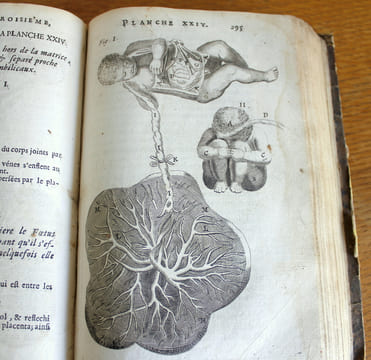 L'anatomie du corps humain avec ses maladies,& les remèdes pour les guérir nouvelle édition augmentée de plusieurs observations de phisique curieuses ...