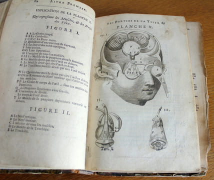 L'anatomie du corps humain avec ses maladies,& les remèdes pour les guérir nouvelle édition augmentée de plusieurs observations de phisique curieuses ...