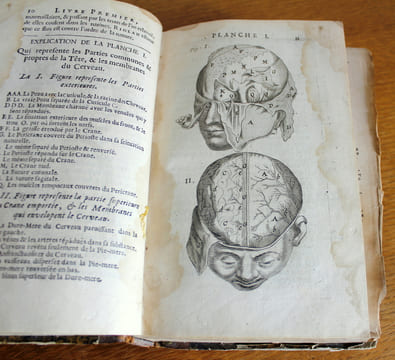 L'anatomie du corps humain avec ses maladies,& les remèdes pour les guérir nouvelle édition augmentée de plusieurs observations de phisique curieuses ...