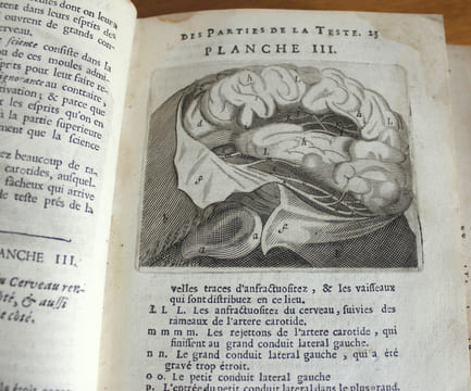 L'anatomie du corps humain avec ses maladies,& les remèdes pour les guérir nouvelle édition augmentée de plusieurs observations de phisique curieuses ...