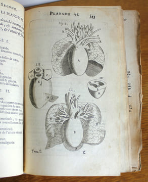 L'anatomie du corps humain avec ses maladies,& les remèdes pour les guérir nouvelle édition augmentée de plusieurs observations de phisique curieuses ...