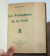 Les profondeurs de la forêt