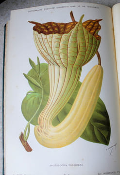 Dictionnaire pratique d'horticulture et de jardinage. G. Nicholson, S. Mottet