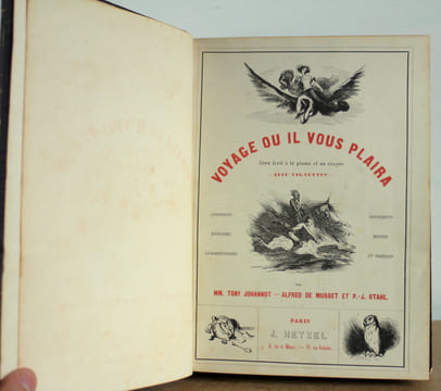 Voyage ou il vous plaira. Tony Johannot