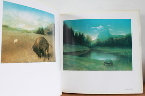 Roland Cat Peintures - Paintings – Gemälde. François Nourissier