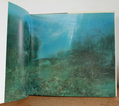 Roland Cat Peintures - Paintings – Gemälde. François Nourissier