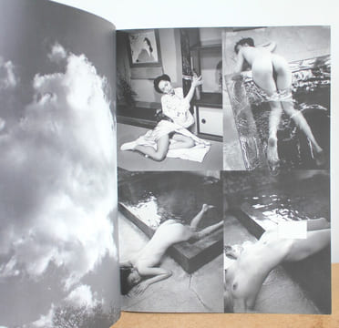 Araki Mythologie de Nobuyoshi Araki et Le Japon. Jean-Christophe Ammann