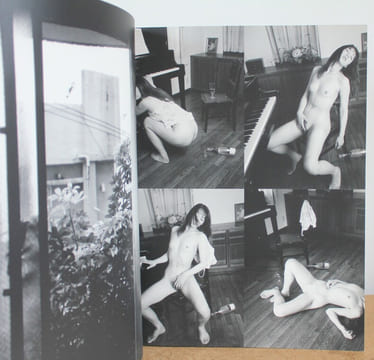 Araki Mythologie de Nobuyoshi Araki et Le Japon. Jean-Christophe Ammann