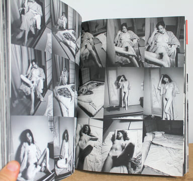 Araki Mythologie de Nobuyoshi Araki et Le Japon. Jean-Christophe Ammann