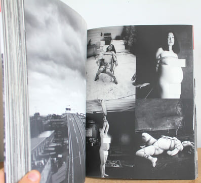 Araki Mythologie de Nobuyoshi Araki et Le Japon. Jean-Christophe Ammann