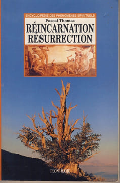 Réincarnation, Résurrection - Editions Plon / Mame Paris 1995. THOMAS Pascal -
