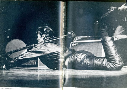 Alias Vince Taylor, le survivant
