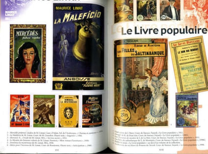 Dictionnaire du roman populaire francophone