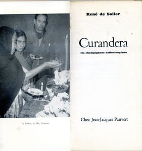 Curandera - Les champignons hallucinogènes