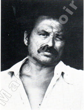 Faux soleil (Sundog) (L'histoire d'un chef d'équipe américain Robert Corvus Strang racontée à Jim Harrison). HARRISON Jim