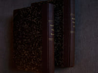 Dictionnaire français-bulgare et bulgare français