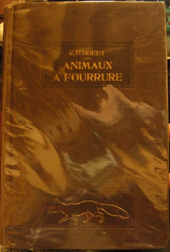 Animaux à fourrure. . D'Hoedt (Camille)