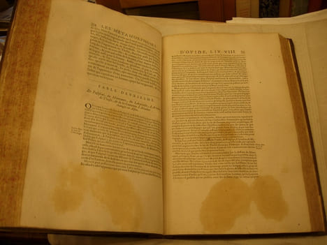 Les Métamorphoses d'Ovide divisées en XV livres. Suivies du Jugement de Pâris. . Ovide, [Du Ryer (Pierre), traduit par], Renouard (Nicolas)