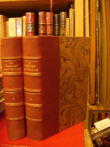Le Cabinet satyrique, d'après l'édition originale de 1618, avec une notice, une bibliographie, un glossaire, des variantes et des notes.