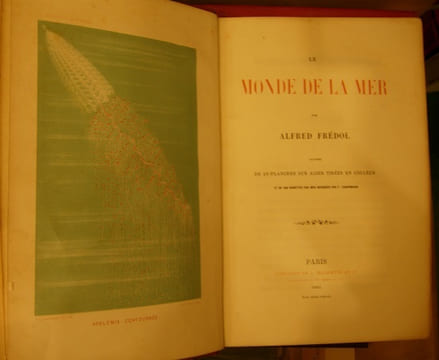 Le Monde de la Mer. . Frédol (Alfred) [Moquin-Tandon (Alfred)]
