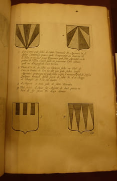 Recueil de plusieurs pièces et figures d'armoiries, obmises par les autheurs qui ont éscrit jusques icy de cette science. Blasonnées par le Sieur ...