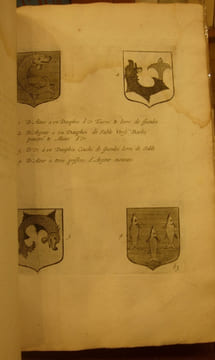 Recueil de plusieurs pièces et figures d'armoiries, obmises par les autheurs qui ont éscrit jusques icy de cette science. Blasonnées par le Sieur ...
