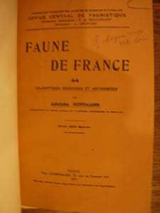Coléoptères Bruchides et anthribides. Faune de France 44.