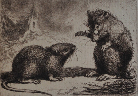 Les Mémoires d’un rat, augmentés d’une préface par Anatole France... orné de 36 eaux-fortes, d’un frontispice et d’un hors-texte, composé et gravé par ...