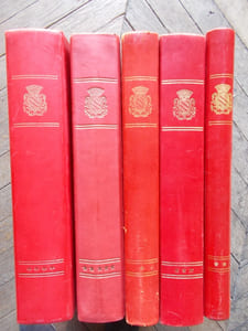 LES BRAC - Une famille consulaire lyonnaise de l'Ancien Régime  à la III ème République. Racines,Alliances,Fortune .