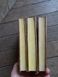 Œuvres posthumes du docteur Mahon MEDECINE LEGALE ET POLICE MEDICALE avec quelques notes du citoyen FAUTREL 3 tomes. Paris chez Buisson, Rouen chez Robert, an X (1801)
