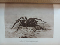 -Souvenirs entomologiques
 Etudes sur l'instinct et les moeurs des insectes (10 volumes).
-La vie de J.H. Fabre naturaliste par le Dr G.-V. Legros (1 volume).