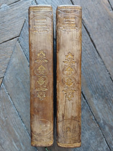 Histoire chronologique de l'hôpital général et grand Hôtel-Dieu de Lyon, depuis sa fondation, 
mêlée de faits historiques concernant l'aumône générale et la ville de Lyon.