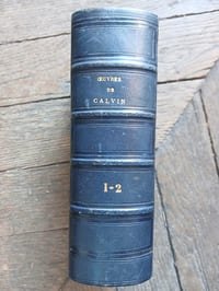 Lettres
Recueillies pour la première fois par Jules Bonnet
Lettres françaises