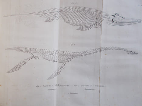Discours sur les révolutions de la surface du globe et sur les changemens qu'elles ont produits dans le règne animal.. CUVIER (Georges)