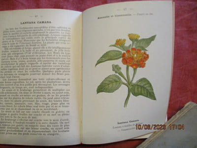 Atlas de poche des fleurs de jardins les plus faciles à cultver. 2ème édition.