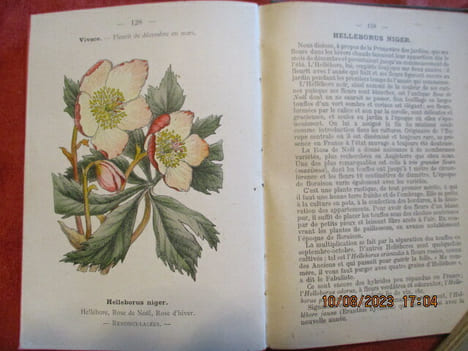 Atlas de poche des fleurs de jardins les plus faciles à cultver. 2ème édition. . HARIOT (Paul)