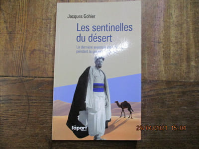 Les sentinelles du désert. La dernière aventure saharienne pendant la guerre dAlgérie.