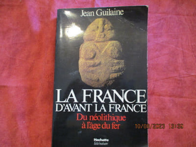 La France d'avant la France : du néolithique à l'âge du fer.