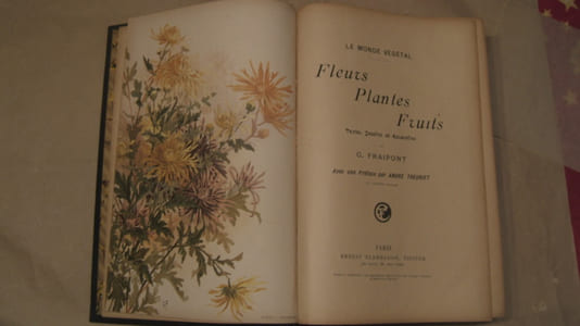 Fleurs fruits plantes. Le monde végétal. Préface par André Theuriet.
