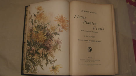 Fleurs fruits plantes. Le monde végétal. Préface par André Theuriet.. FRAIPONT (G.)